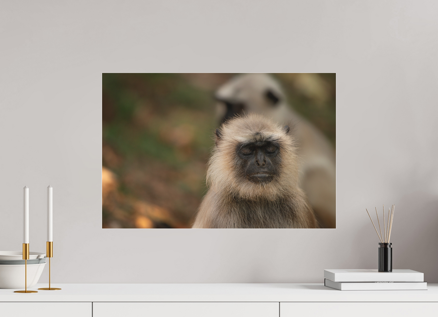 Dharma Langur (Fiammetta Venner)