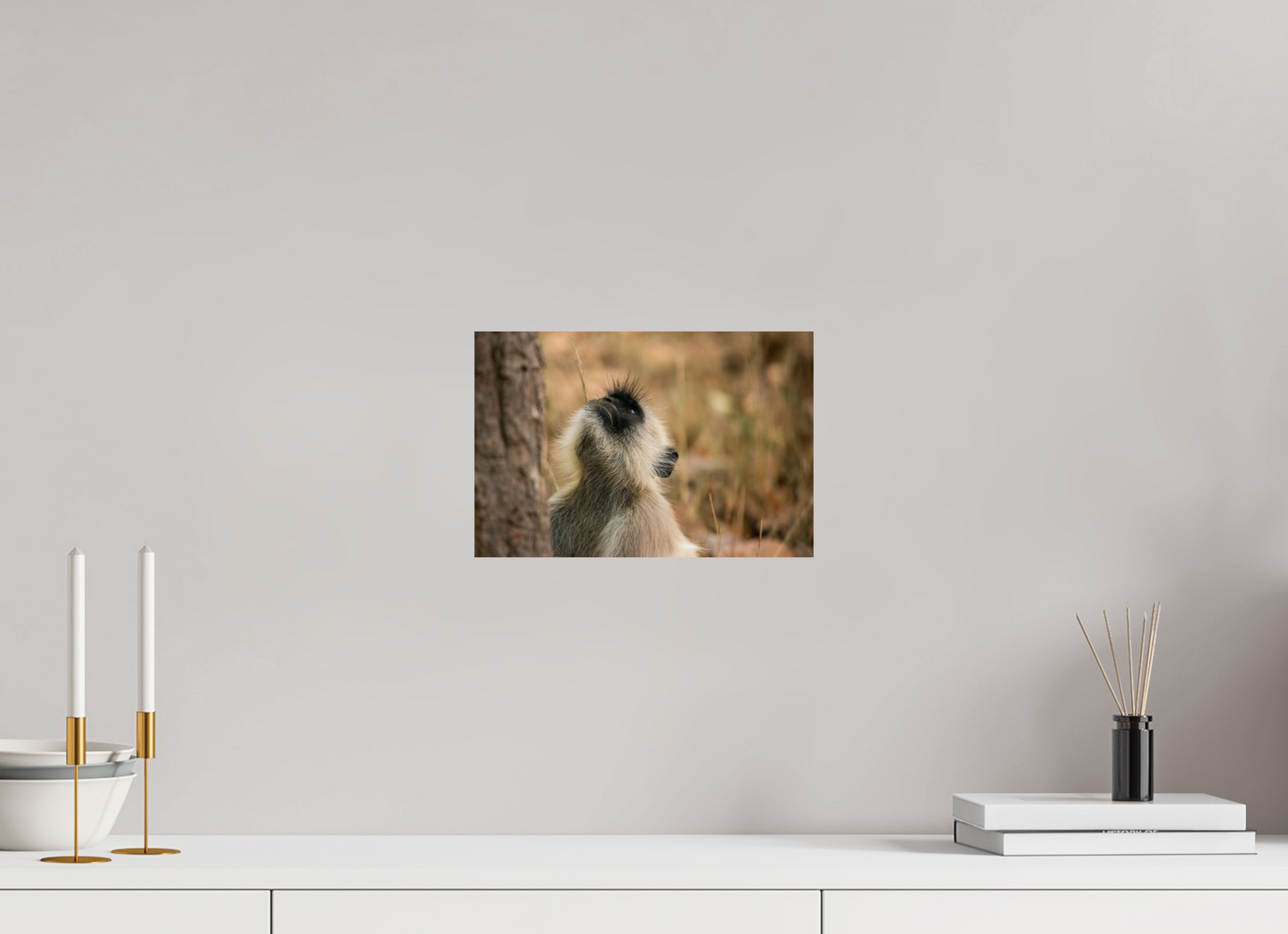 Gaze of Curiosity (Fiammetta Venner)