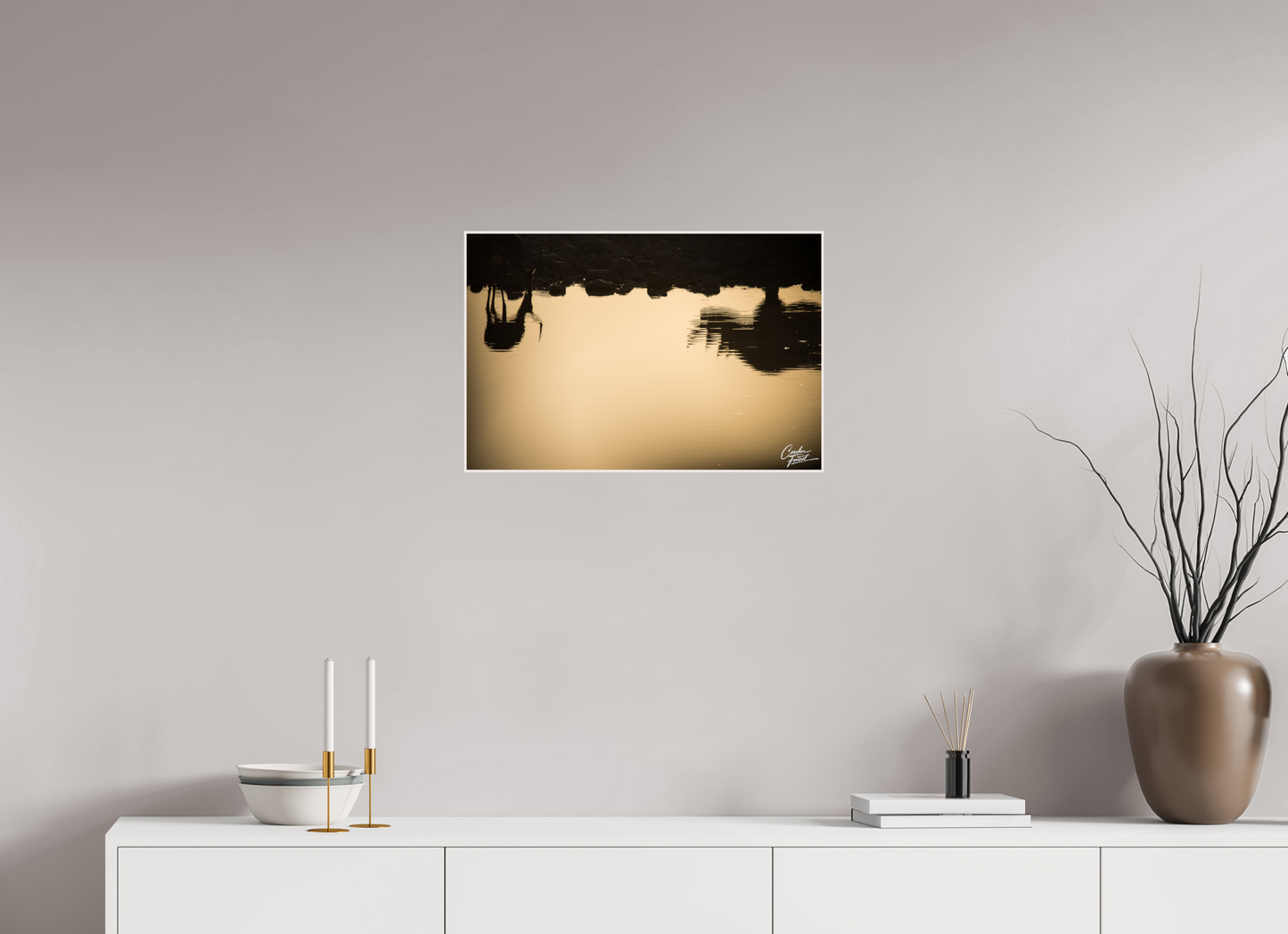 Etosha Reflections (Caroline Fourest)