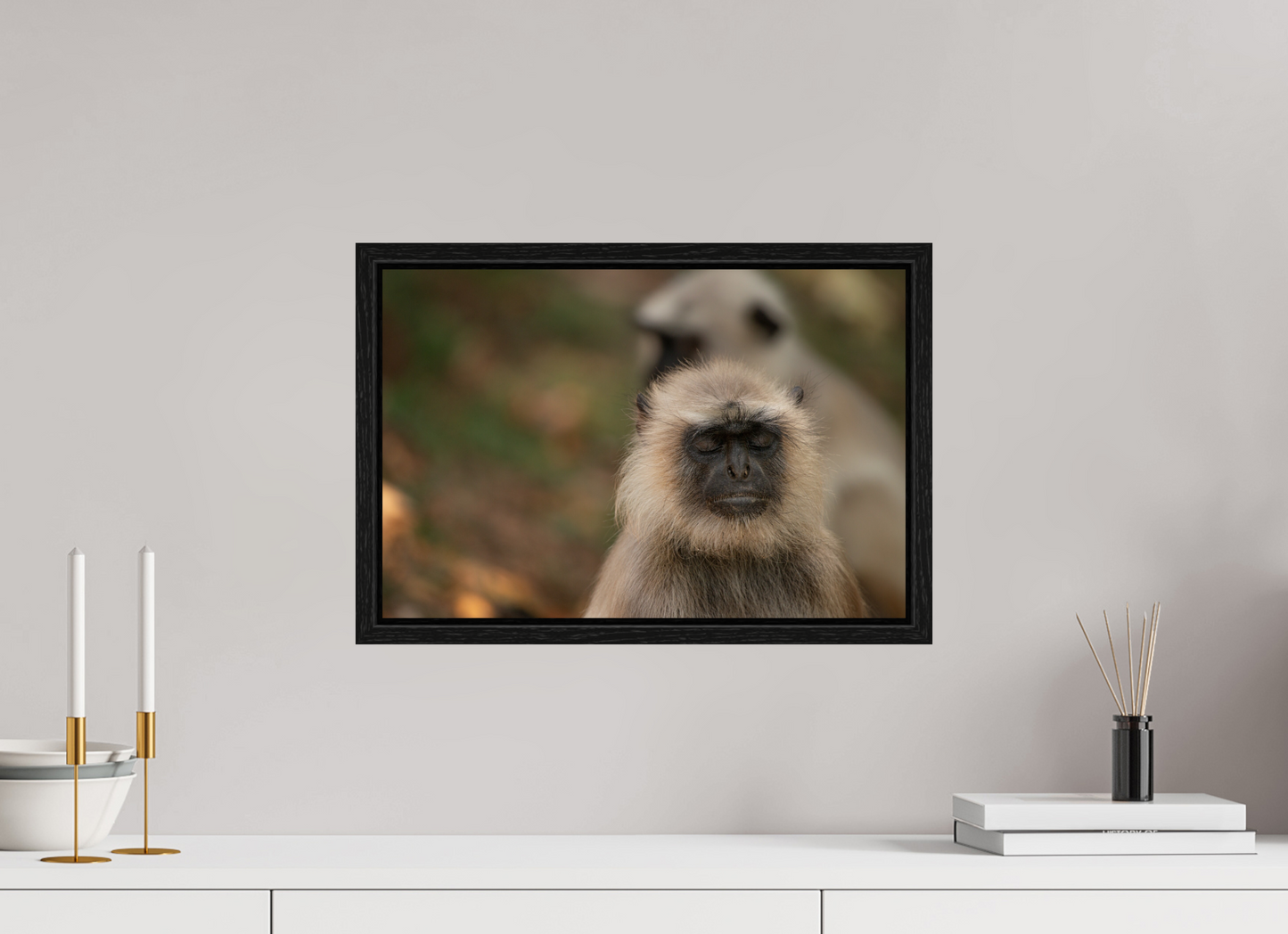 Dharma Langur (Fiammetta Venner)
