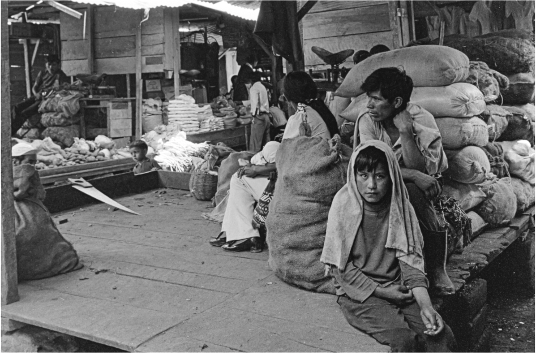 Main image aline de nanxe Salvador