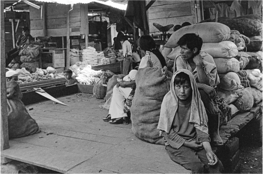 Main image aline de nanxe Salvador