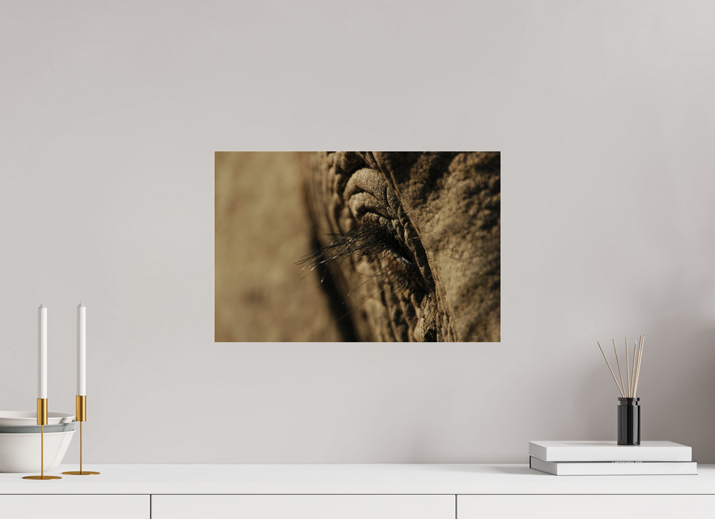 By an Elephant Eyelash (Fiammetta Venner)