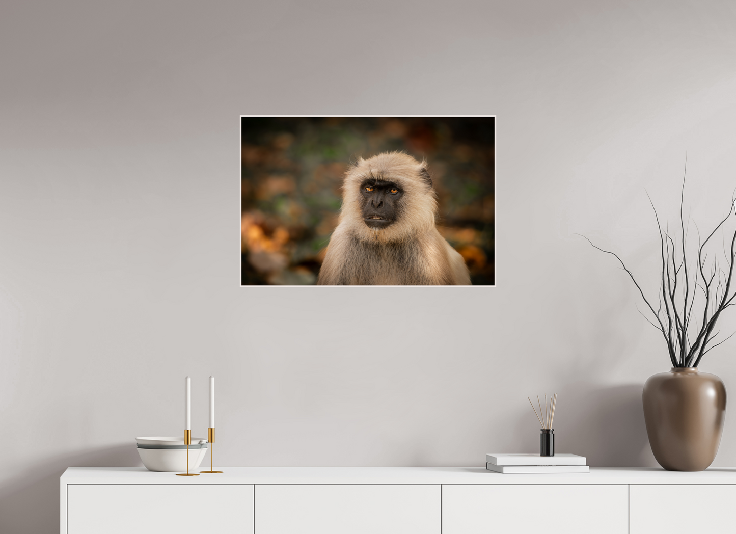 Langur Whispers (Fiammetta Venner)