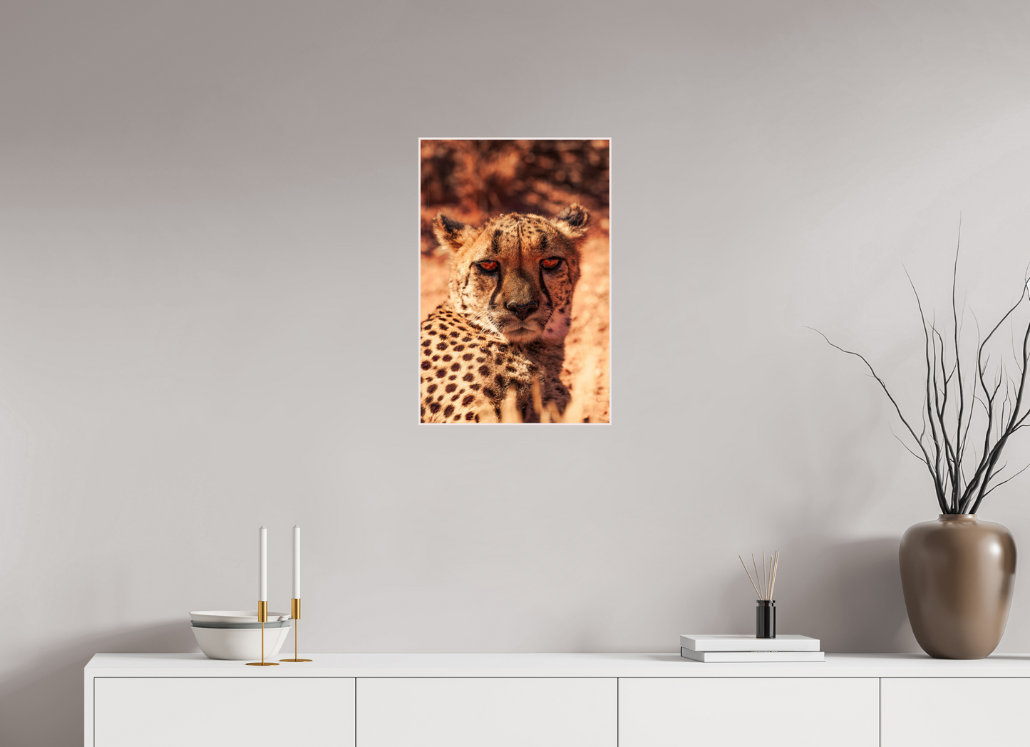 Cheetah's Gaze (Fiammetta Venner)