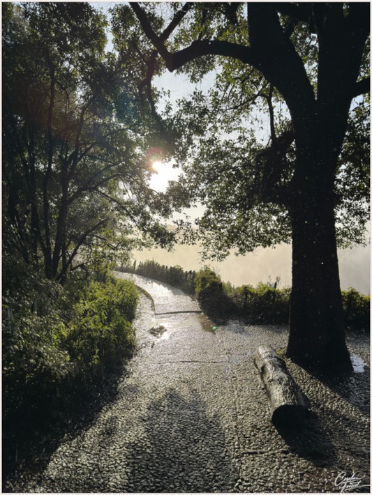 Main image Victoria Falls. Zimbabwe. Photography : © Caroline Fourest / REIA (Caroline Fourest)