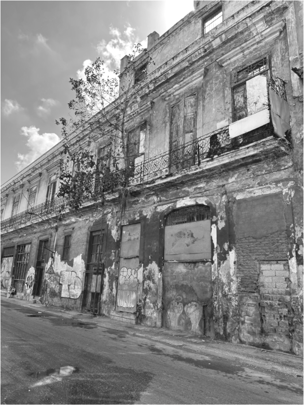 Monochrome Memories (Fiammetta Venner)