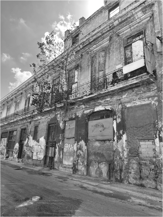Monochrome Memories (Fiammetta Venner)