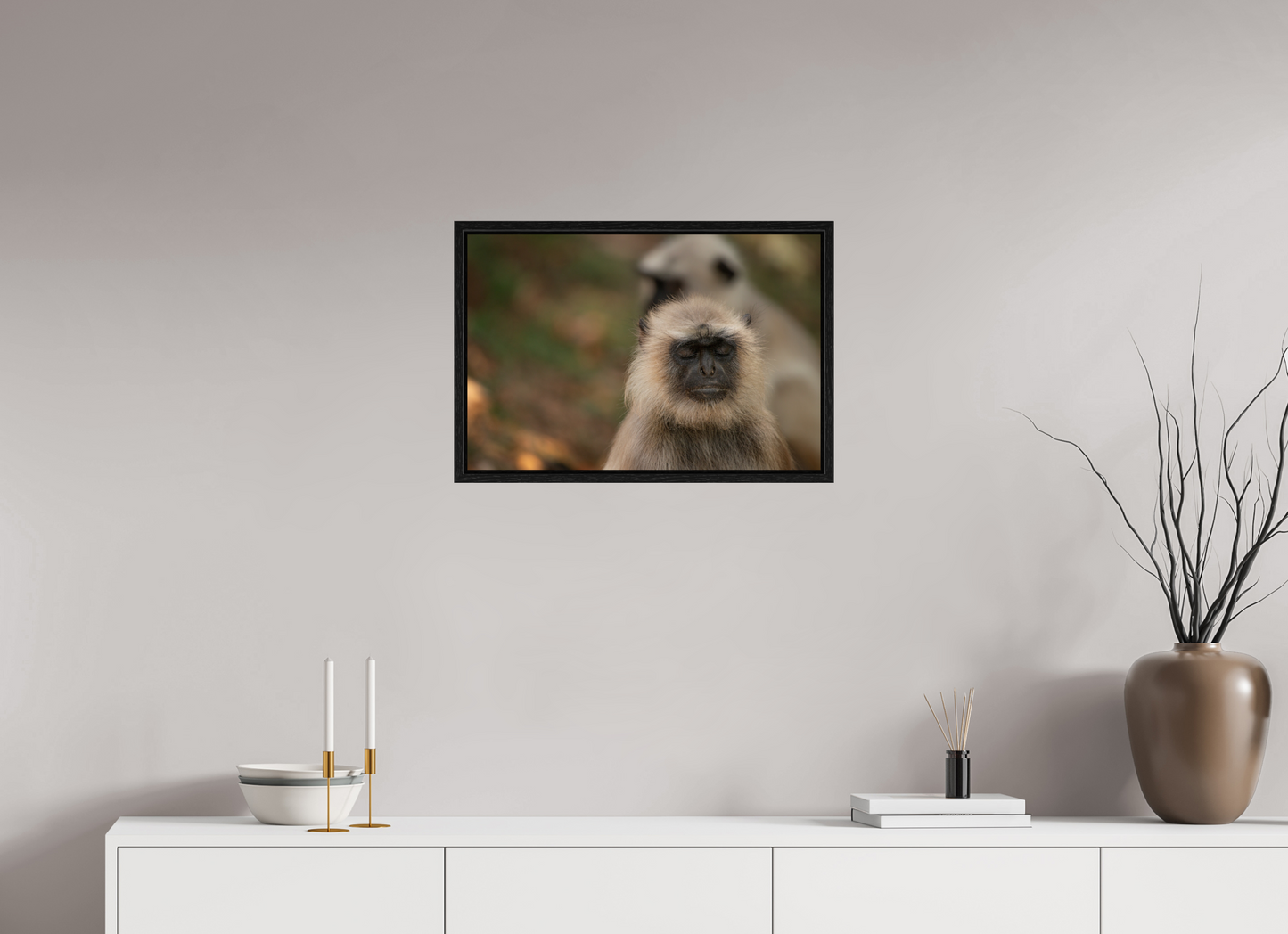 Dharma Langur (Fiammetta Venner)
