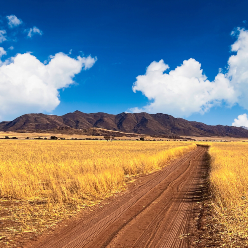 Namibian Landscape (Fiammetta Venner)