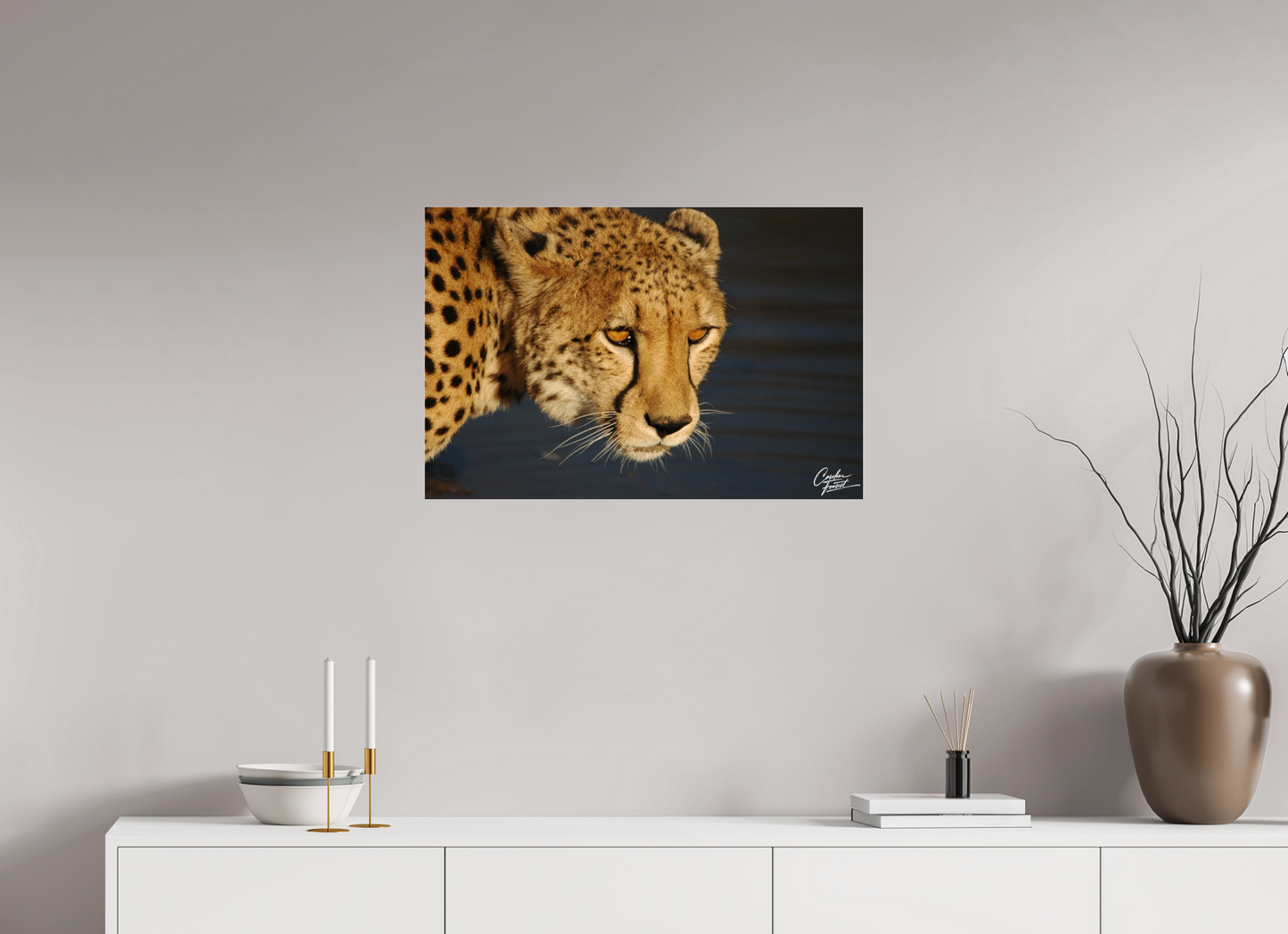 Golden Gaze of the Wild (Caroline Fourest)