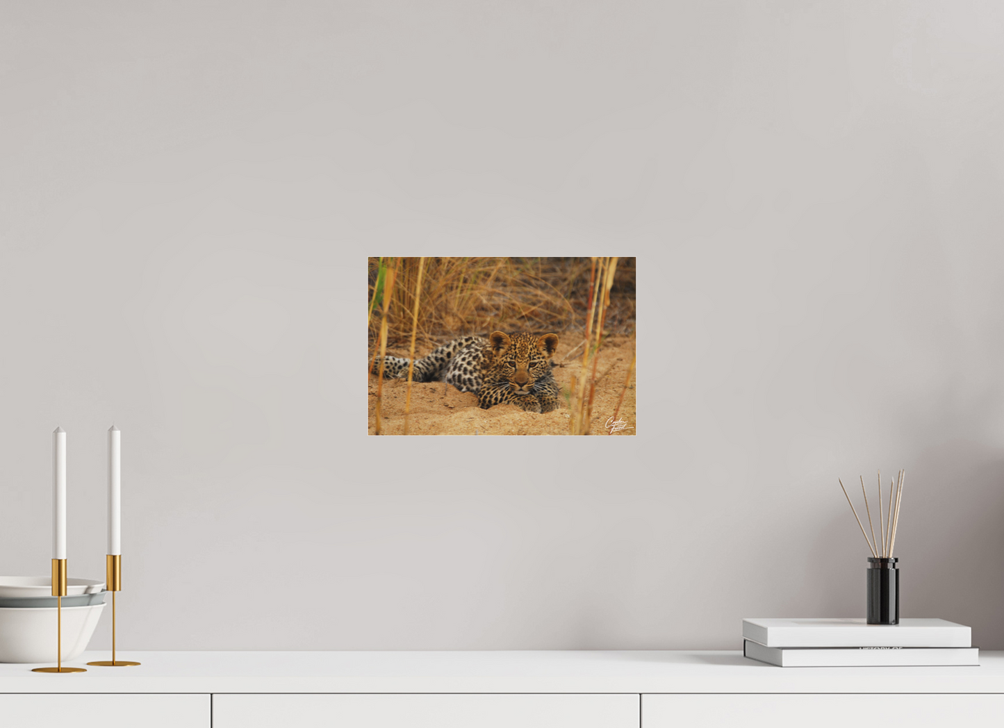 Leopard's cub  Rest (Caroline Fourest)