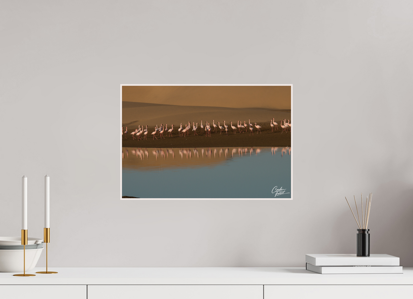 Symphony in Pink (Caroline Fourest)
