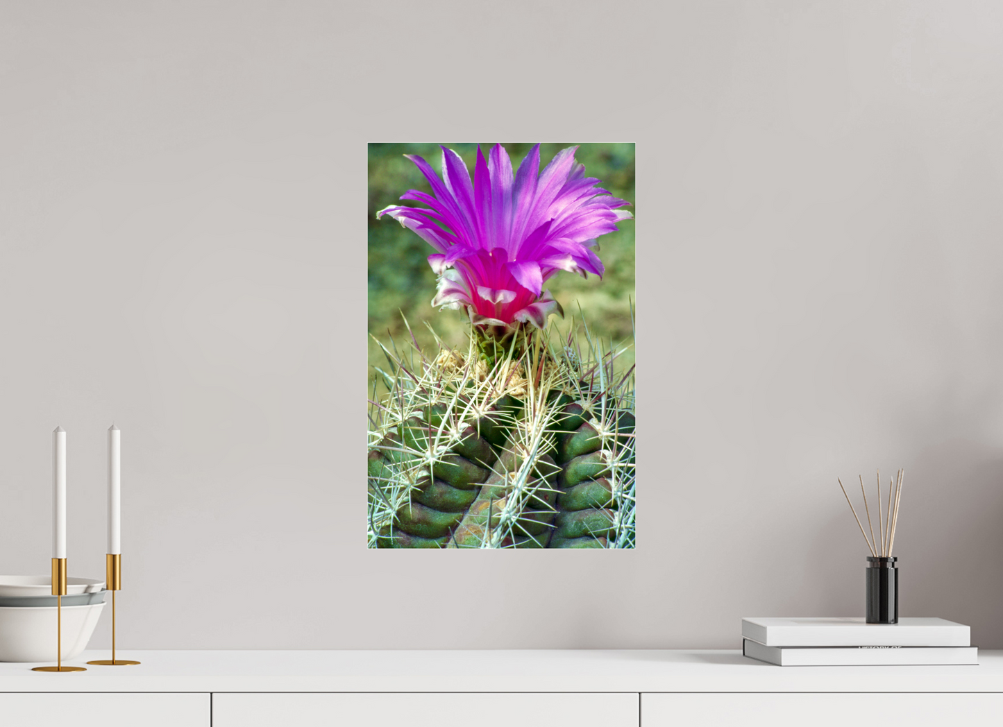 Flamingo Cactus (Aline de Nanxe)