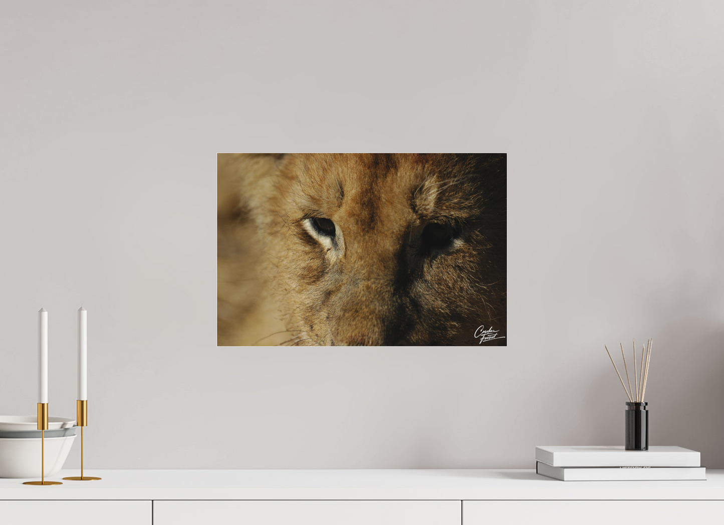 Majestic Cub (Caroline Fourest)