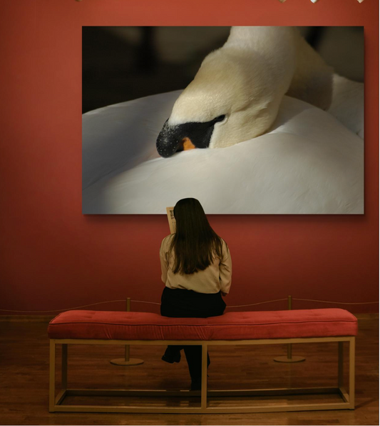 Grace in Repose (Fiammetta Venner)