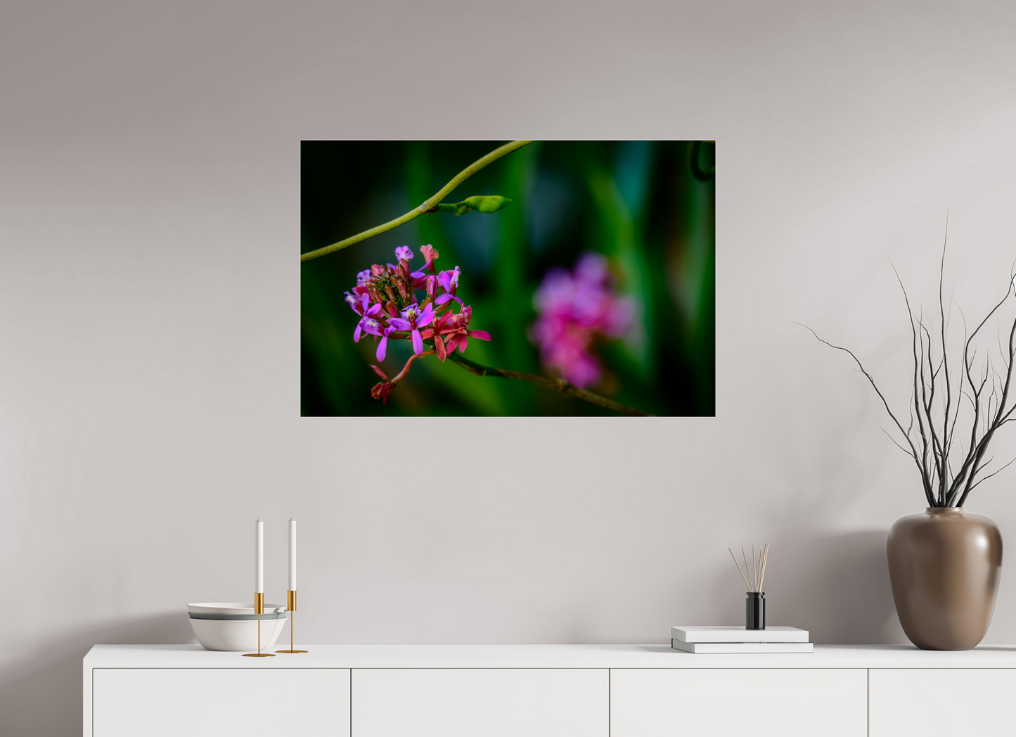 90 x 60 cm, Photo Print Under Acrylic Glass Fiammetta Perou