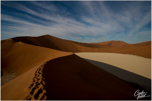 Desert Dunes (Caroline Fourest)
