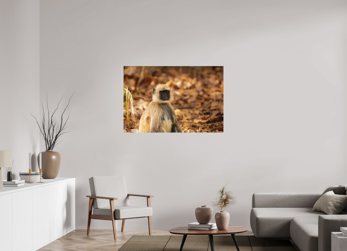 Langur Contemplative Gaze (Fiammetta Venner)
