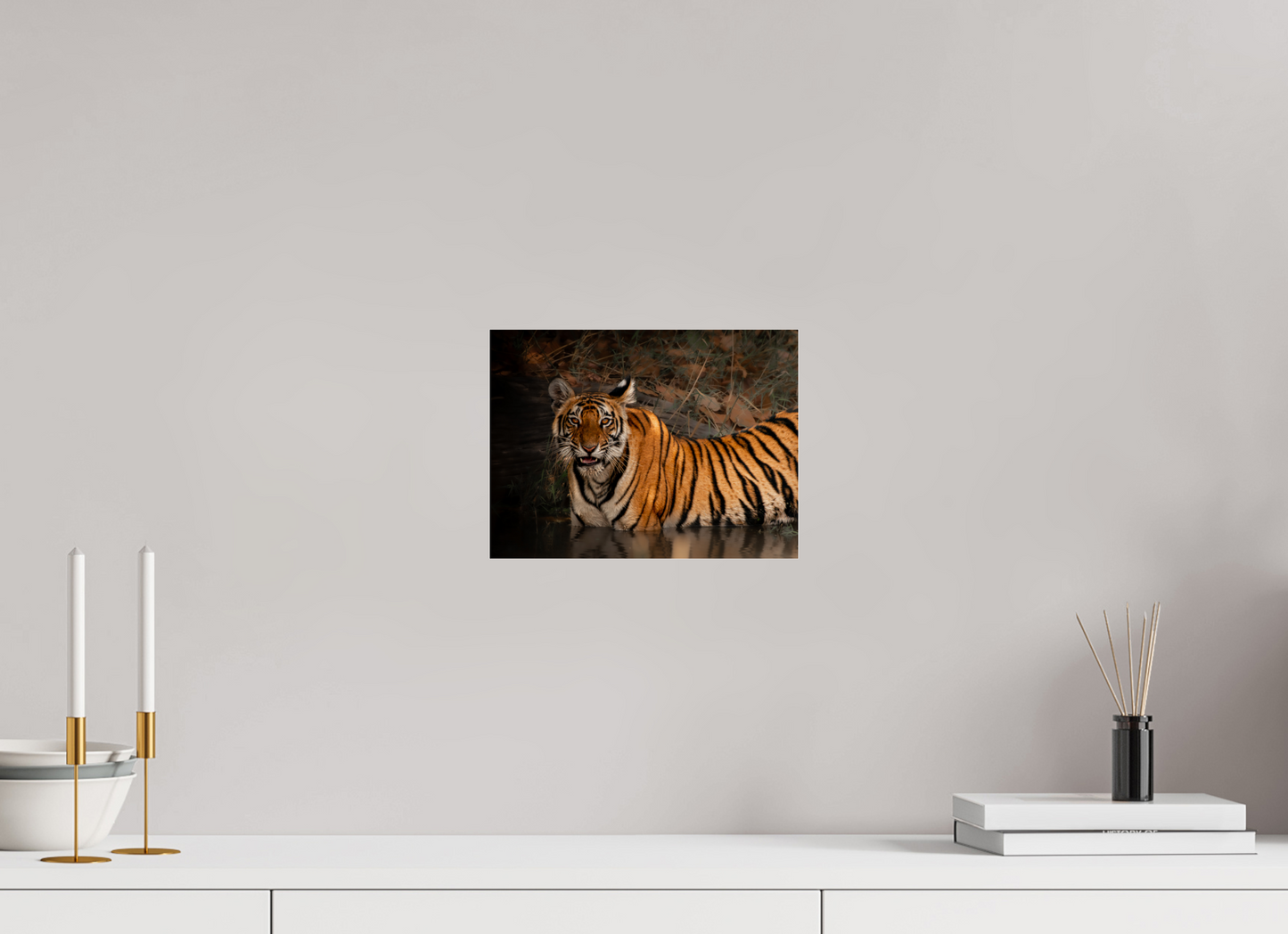 Bengal tiger moment (Fiammetta Venner)