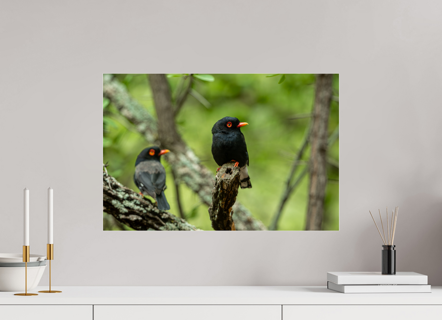 Feathered Companions (Fiammetta Venner)