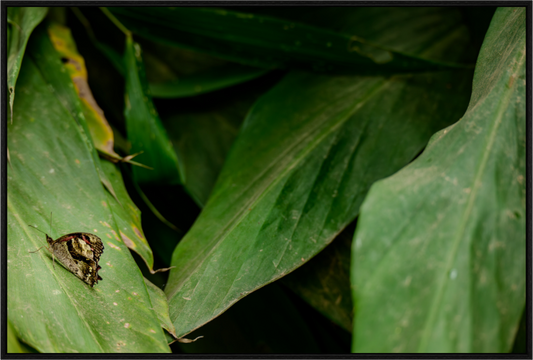 Main image Fiammetta Perou