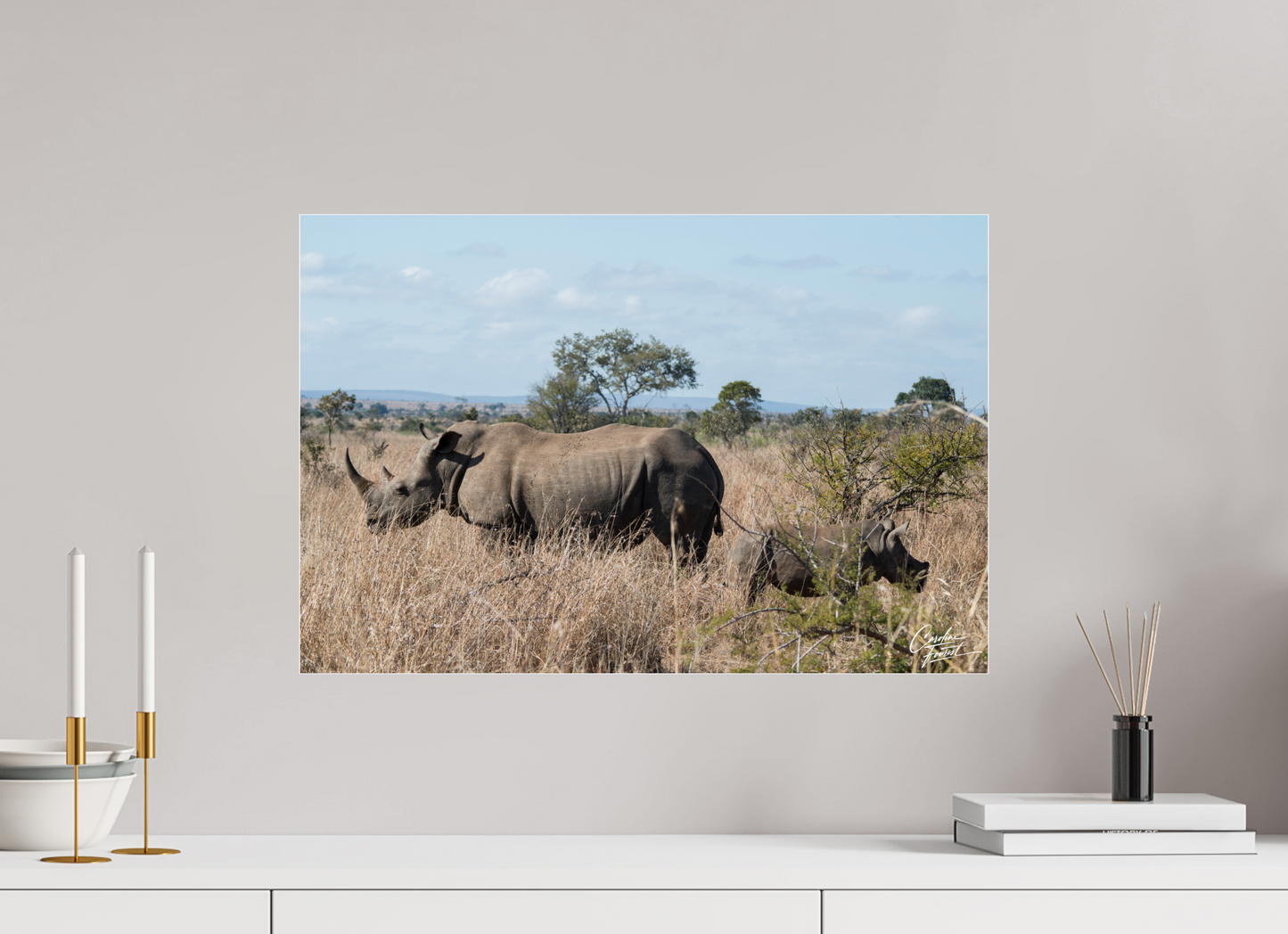 Gentle Giants (Caroline Fourest)