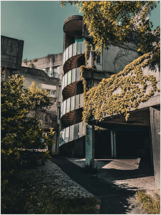 Curves in Concrete (Fiammetta Venner)