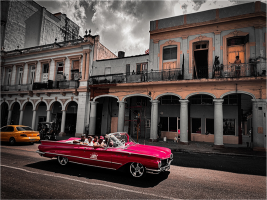 Classic Cruise (Fiammetta Venner)