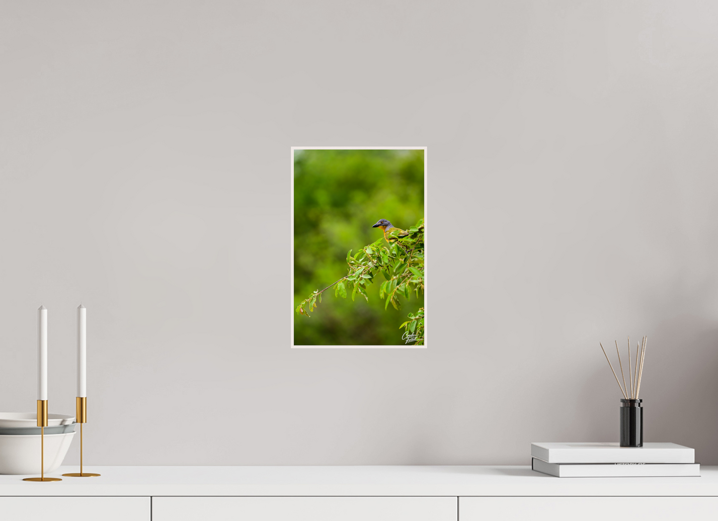 Vibrant Perch (Caroline Fourest)