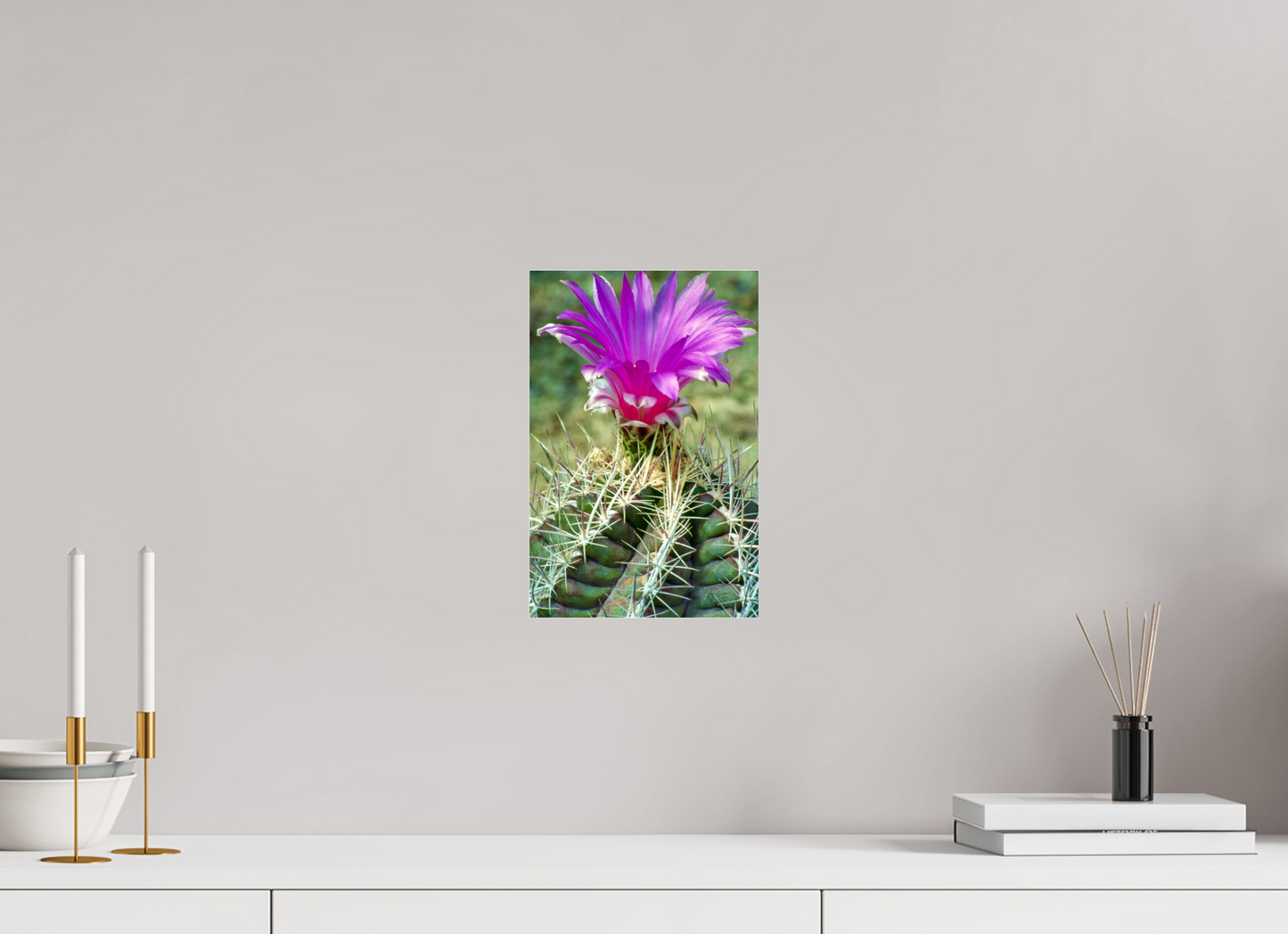 Flamingo Cactus (Aline de Nanxe)