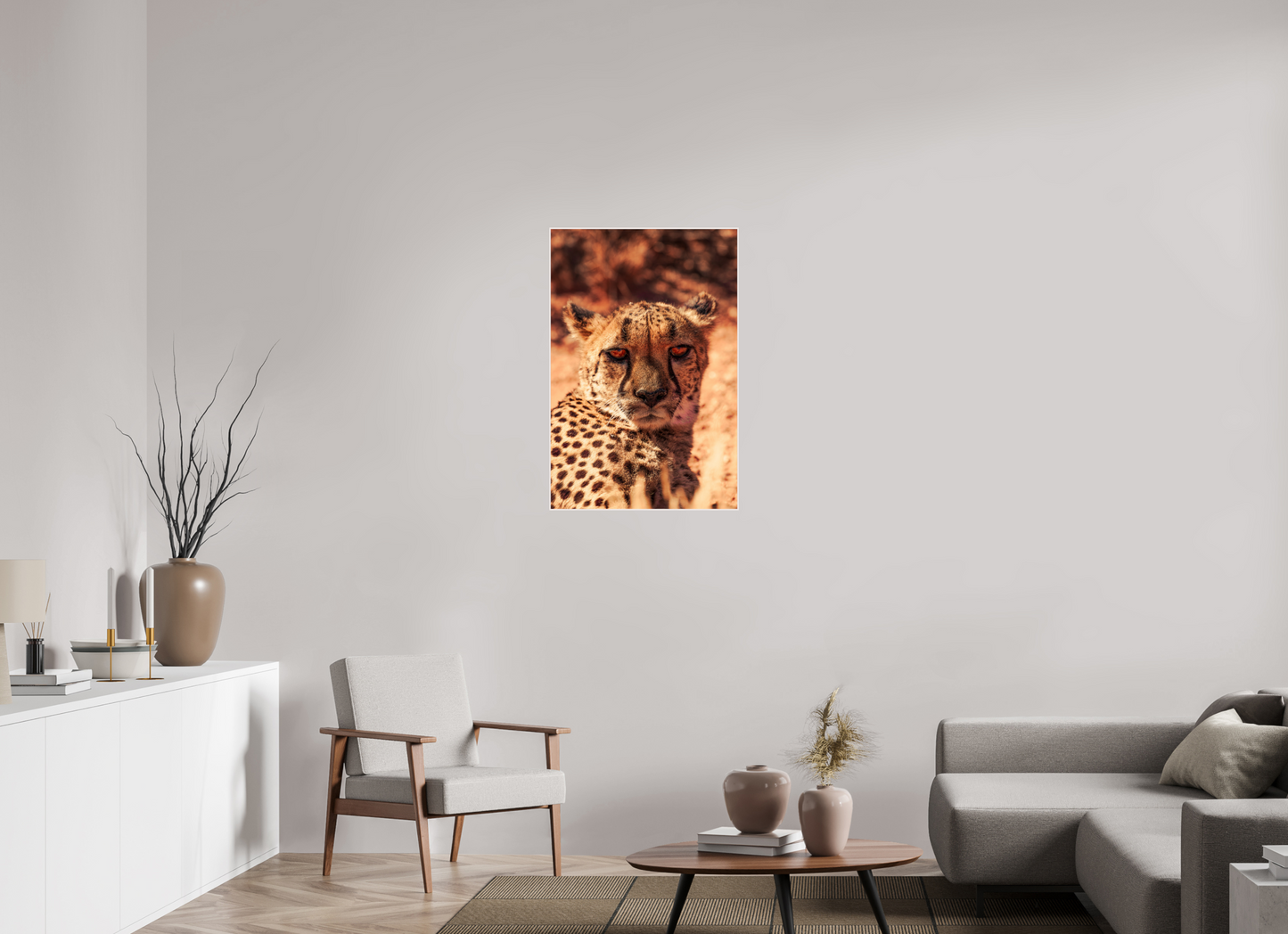 Cheetah's Gaze (Fiammetta Venner)