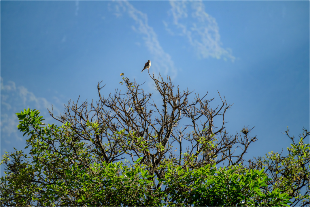 Main image Peru (2024) Photography : © Fiammetta Venner / REIA (Fiammetta Venner)