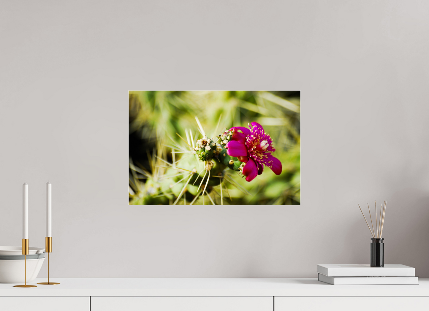 Blessed Cactus (Fiammetta Venner)