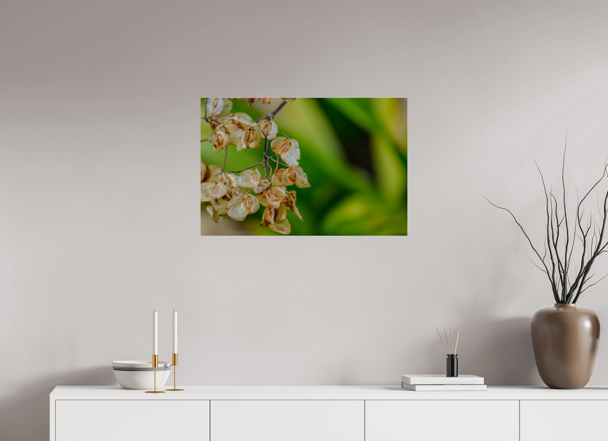 75 x 50 cm, Photo Print Under Acrylic Glass Fiammetta Perou