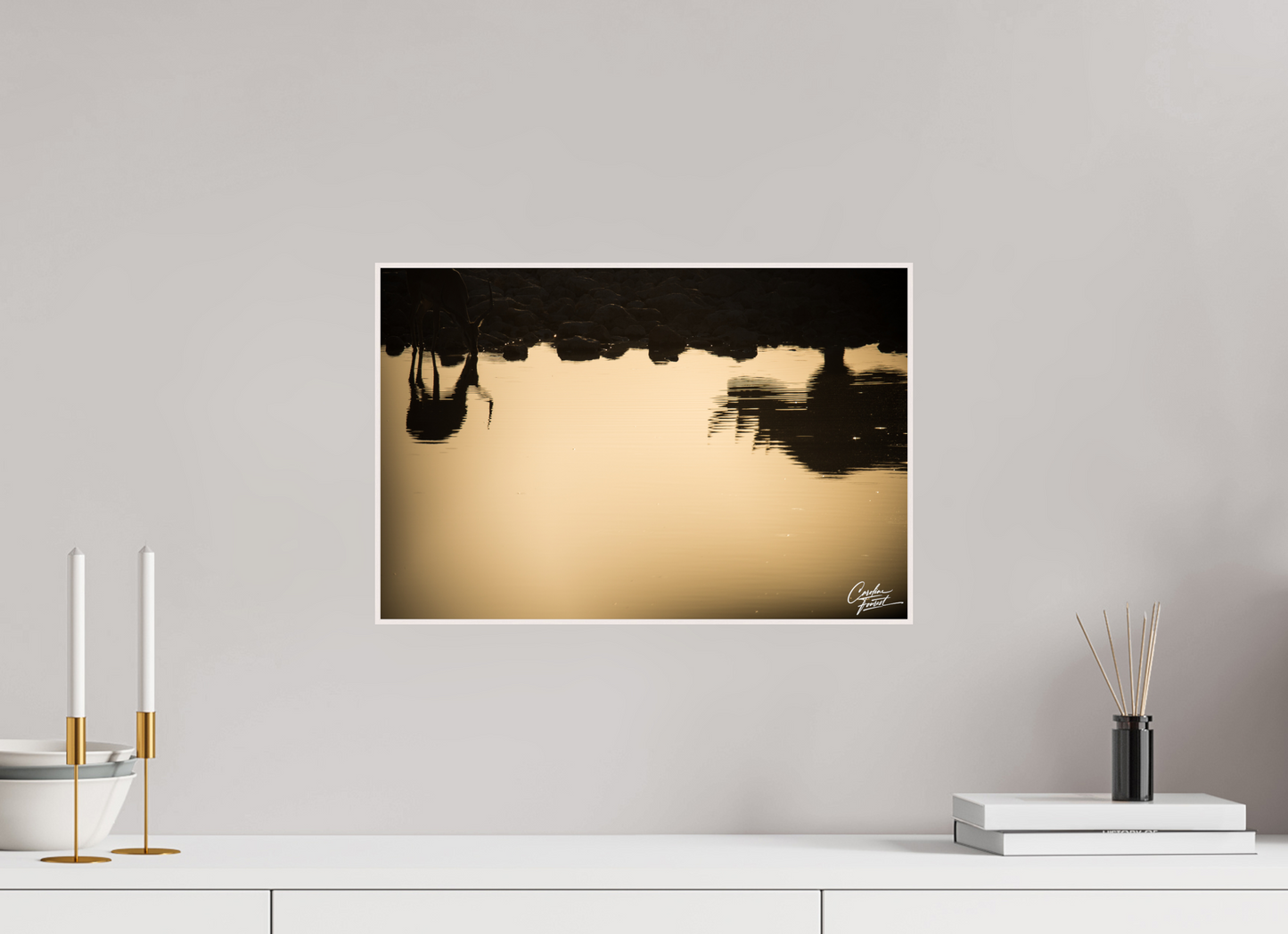 Etosha Reflections (Caroline Fourest)