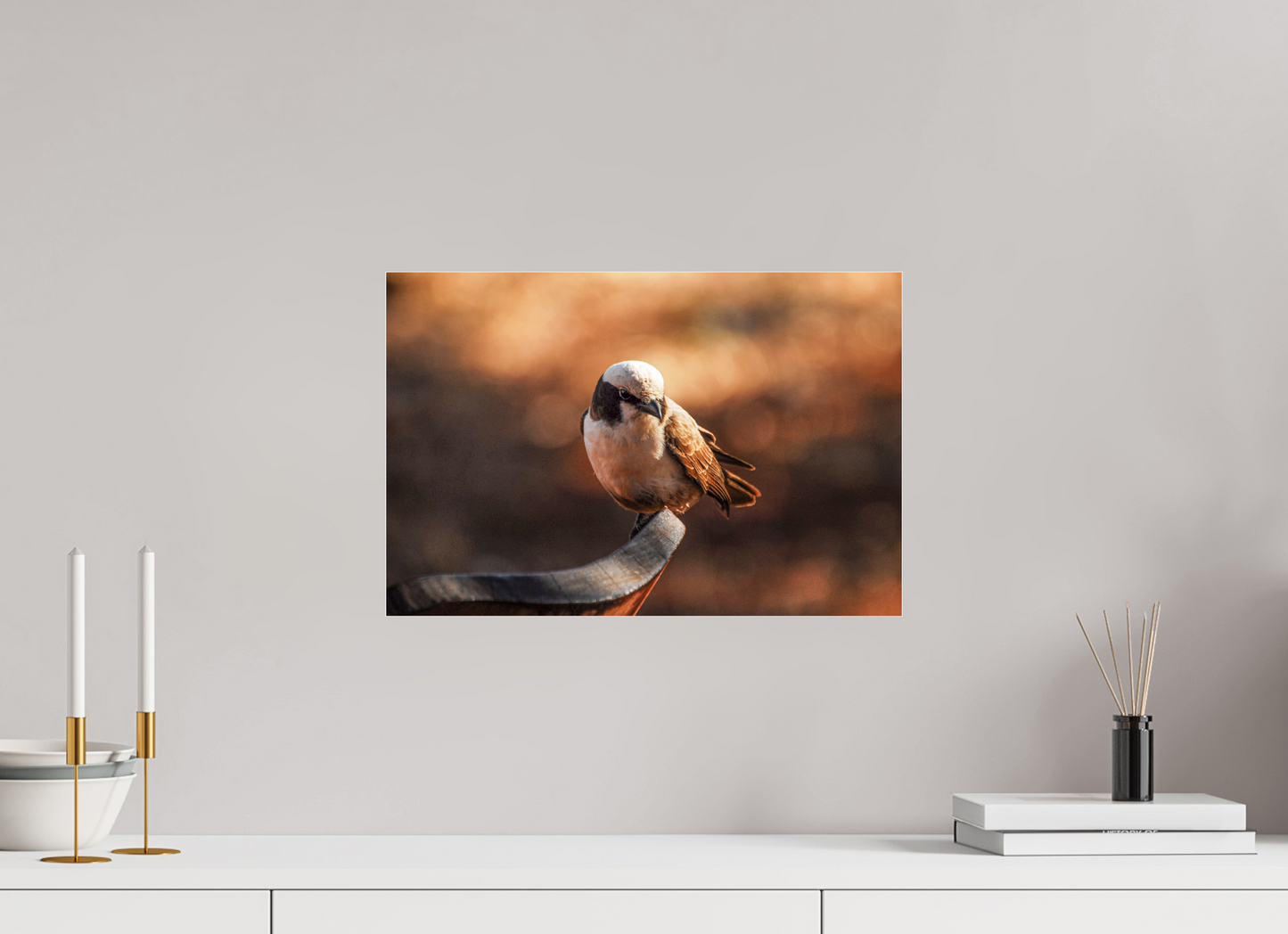 Perched in Serenity (Caroline Fourest)