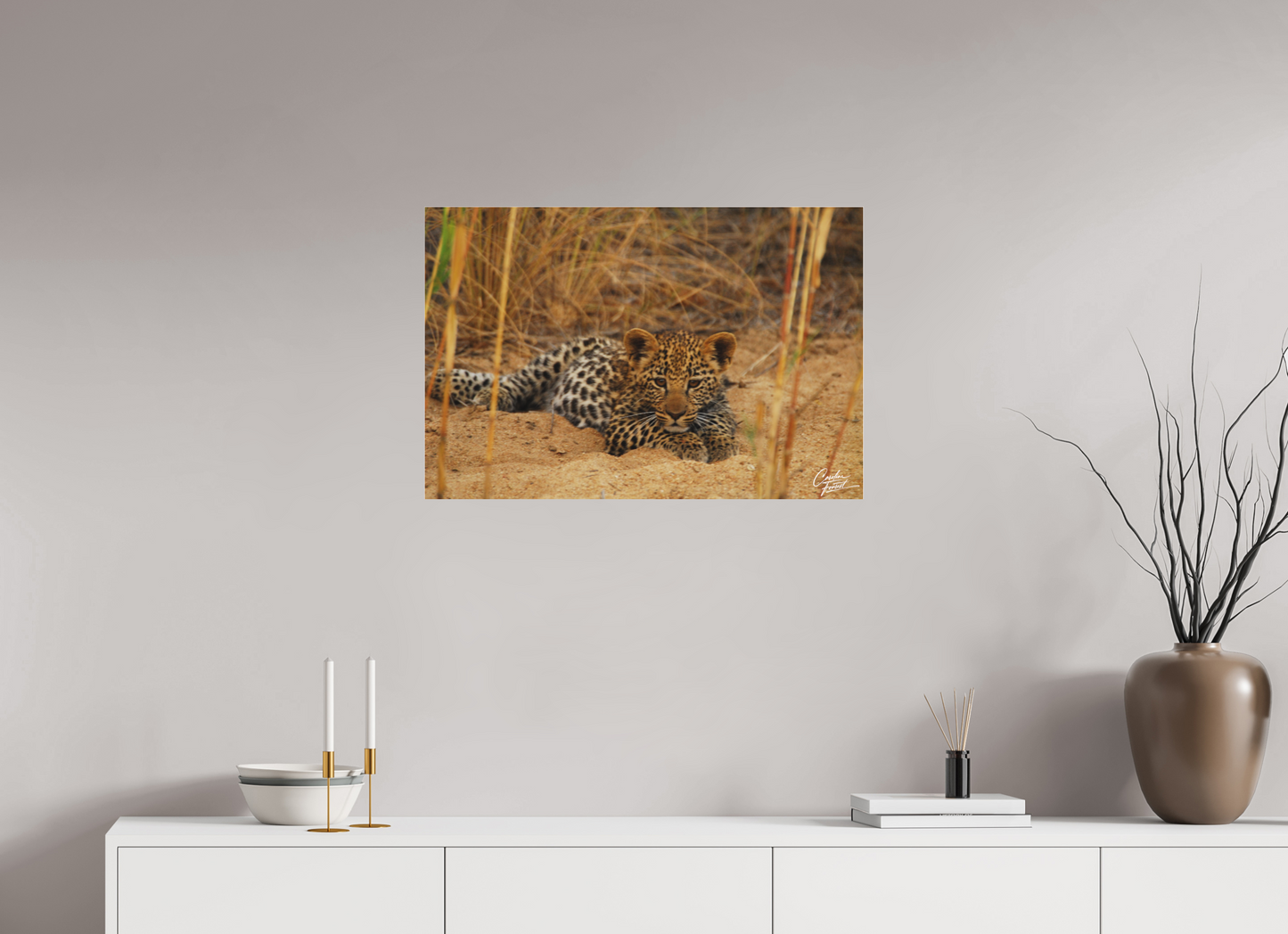 Leopard's cub  Rest (Caroline Fourest)