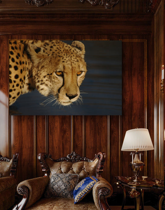 Golden Gaze of the Wild (Caroline Fourest)