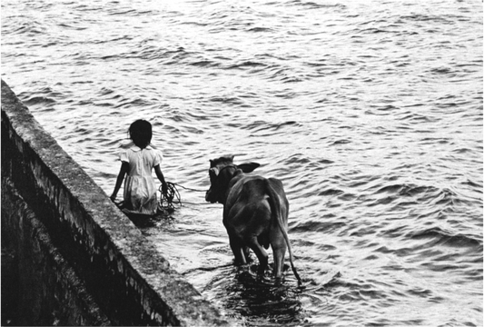 Main image Gentle Guardian (Catherine Deudon)