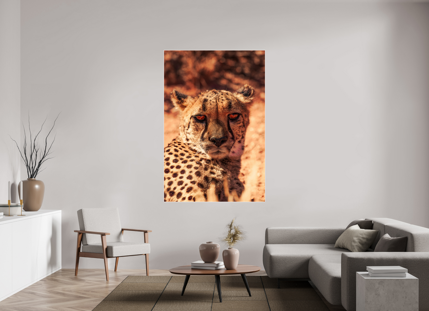 Cheetah's Gaze (Fiammetta Venner)