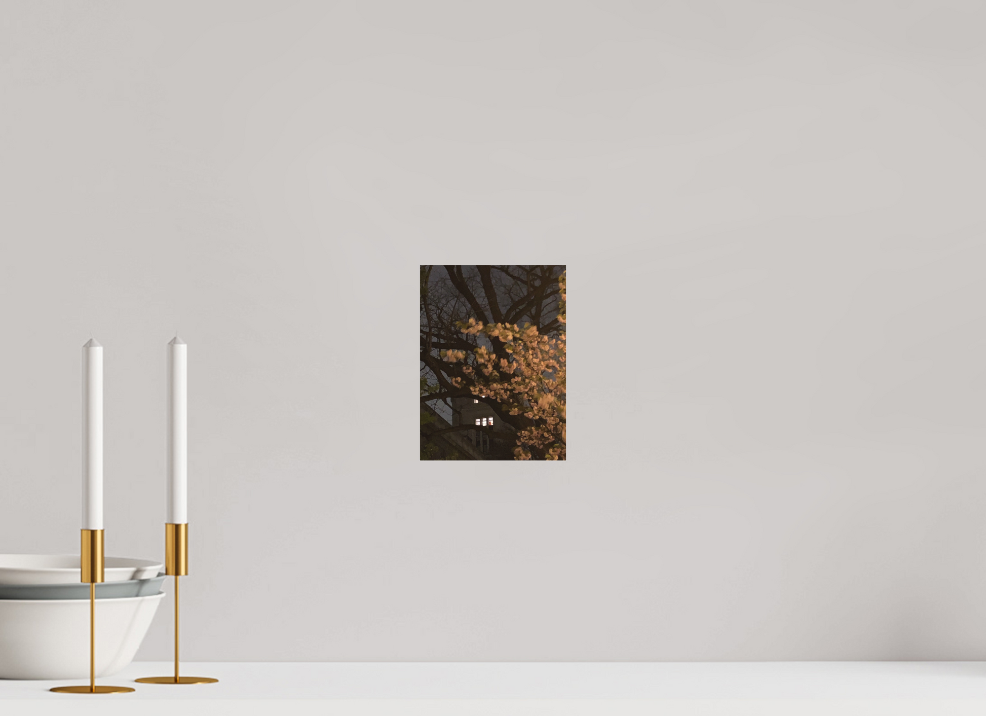 15 x 20 cm, Tirage photo sous Plexi mat Jardin la nuit (Marie Sicard)