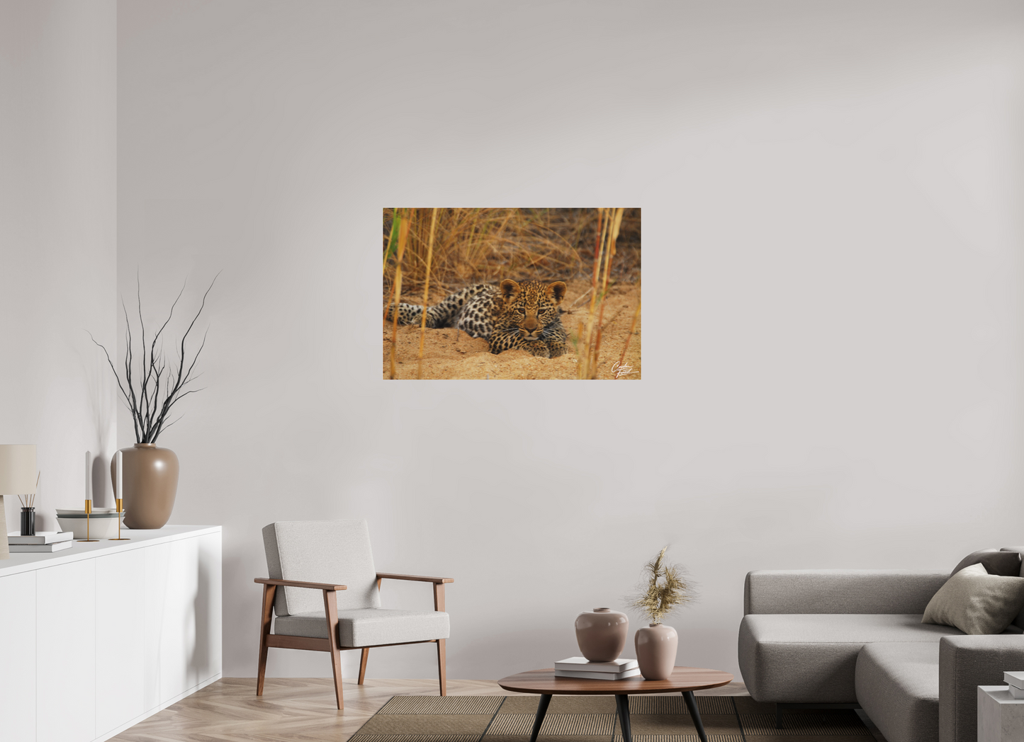 Leopard's cub  Rest (Caroline Fourest)