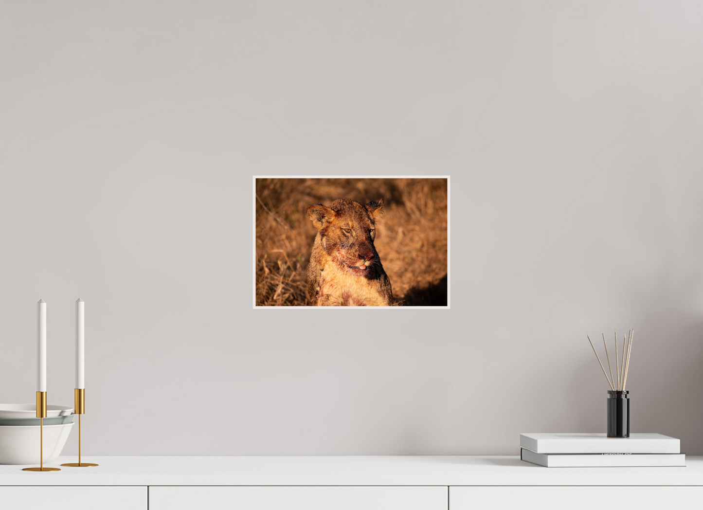 Lioness Resilience (Fiammetta Venner)