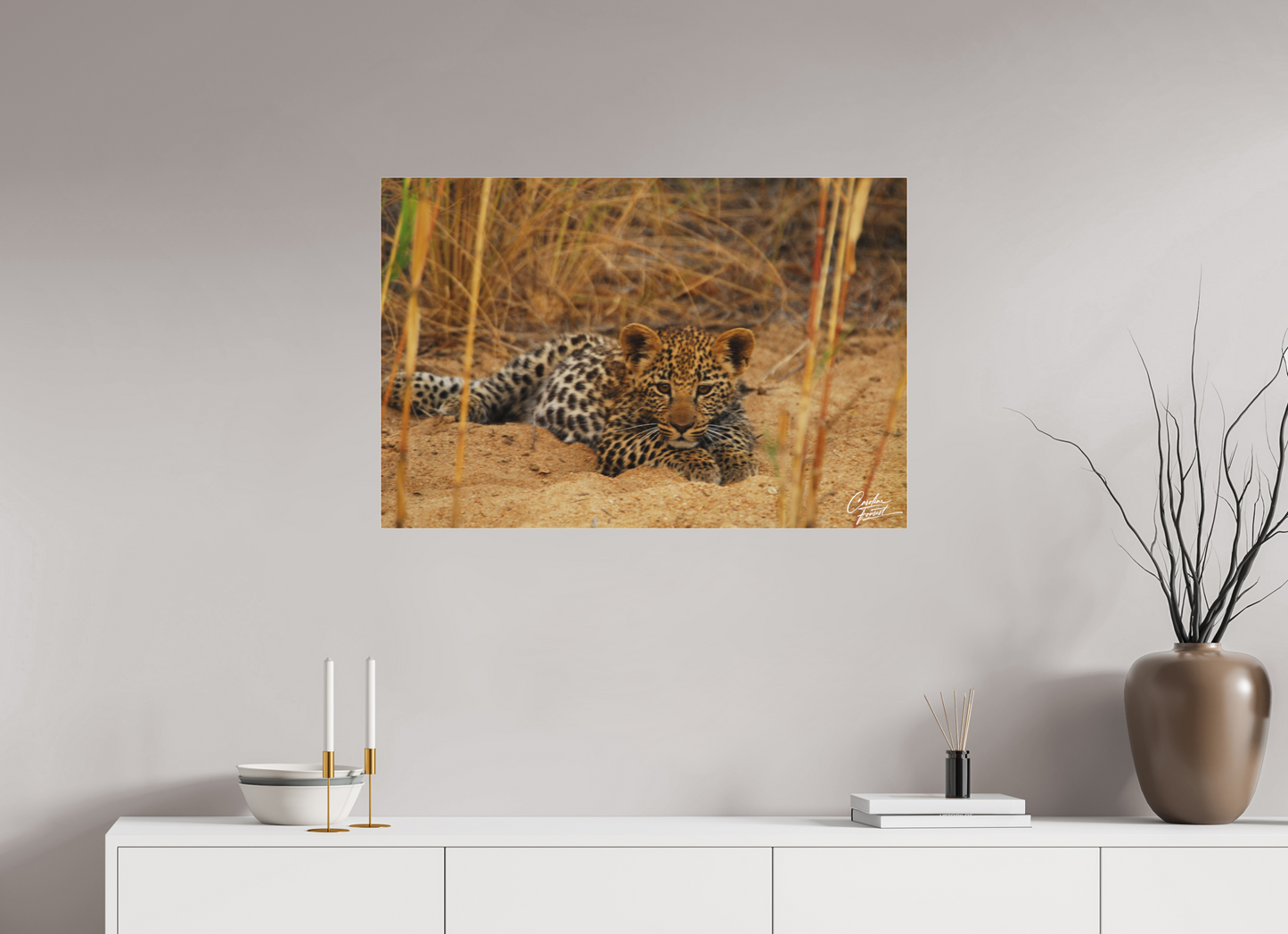 Leopard's cub  Rest (Caroline Fourest)