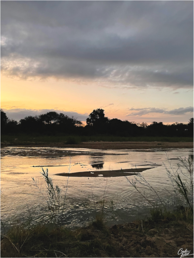 Main image Zambeze Golden Hush (Caroline Fourest)
