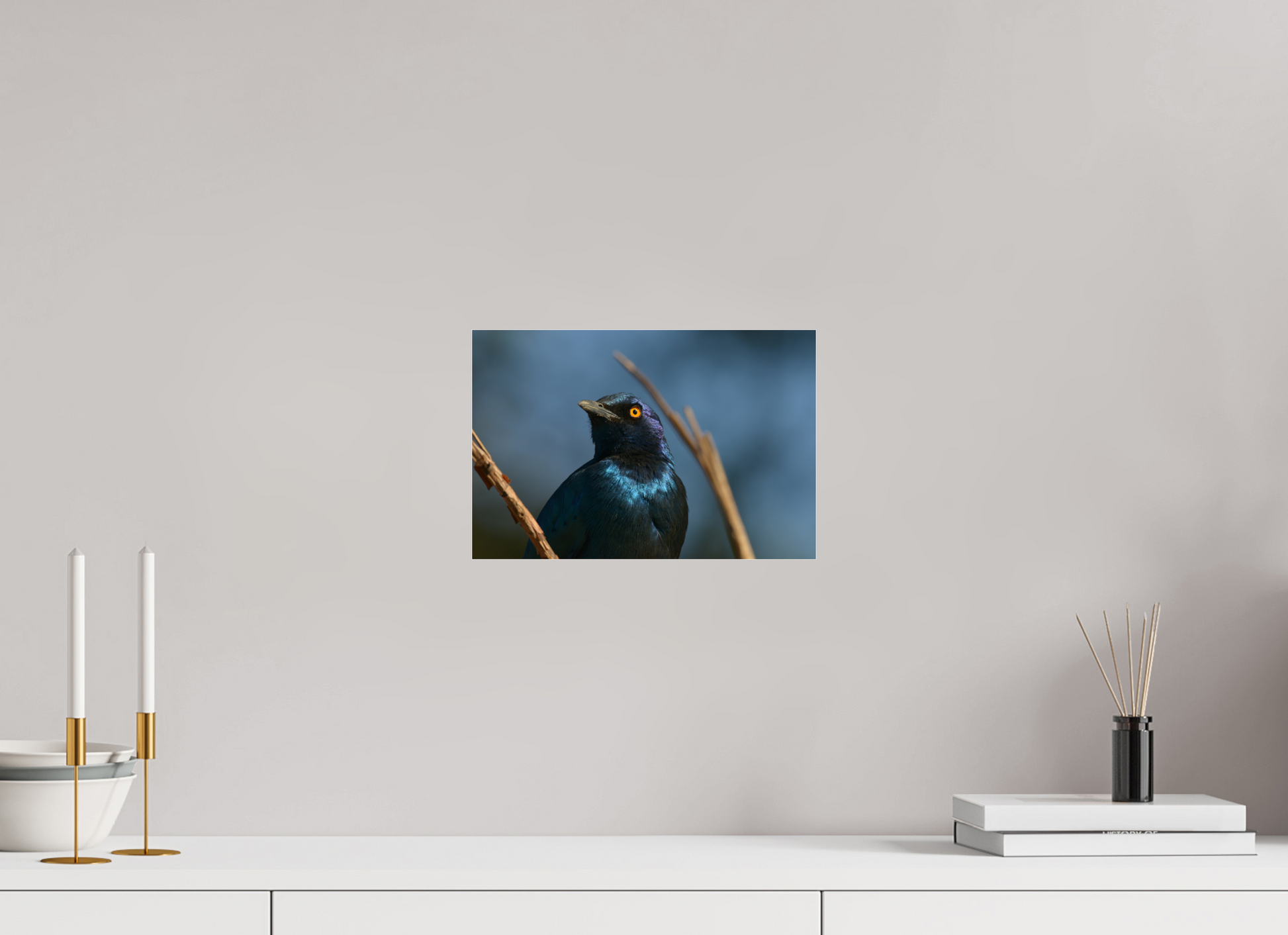 30 x 20 cm, Photo Print Under Acrylic Glass (Caroline Fourest)