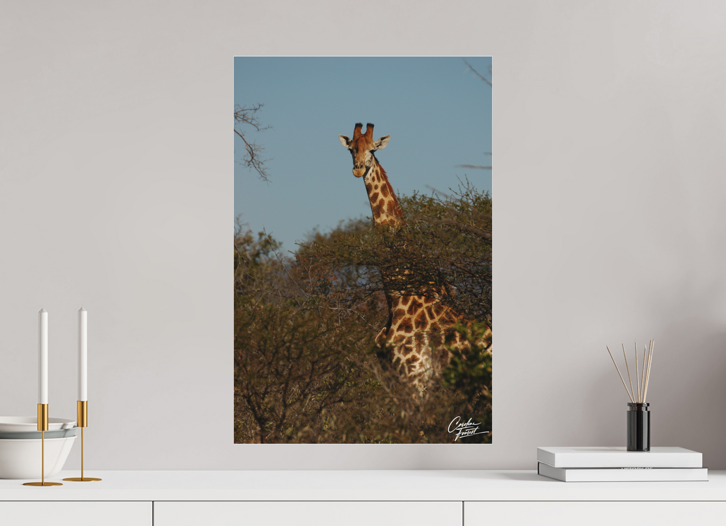 Towering Grace (Caroline Fourest)