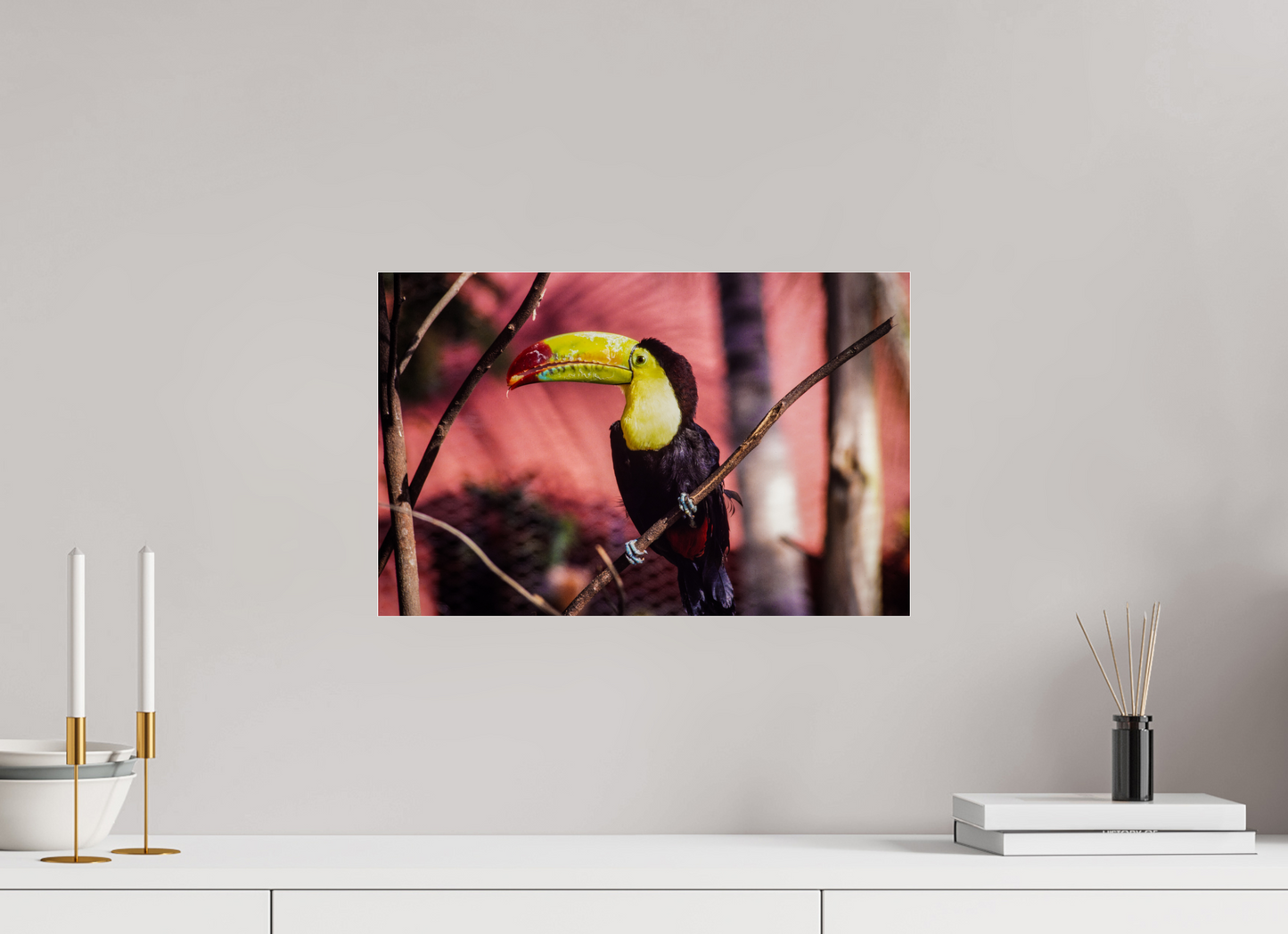 The Toucan Vibrant Symphony (Aline de Nanxe)