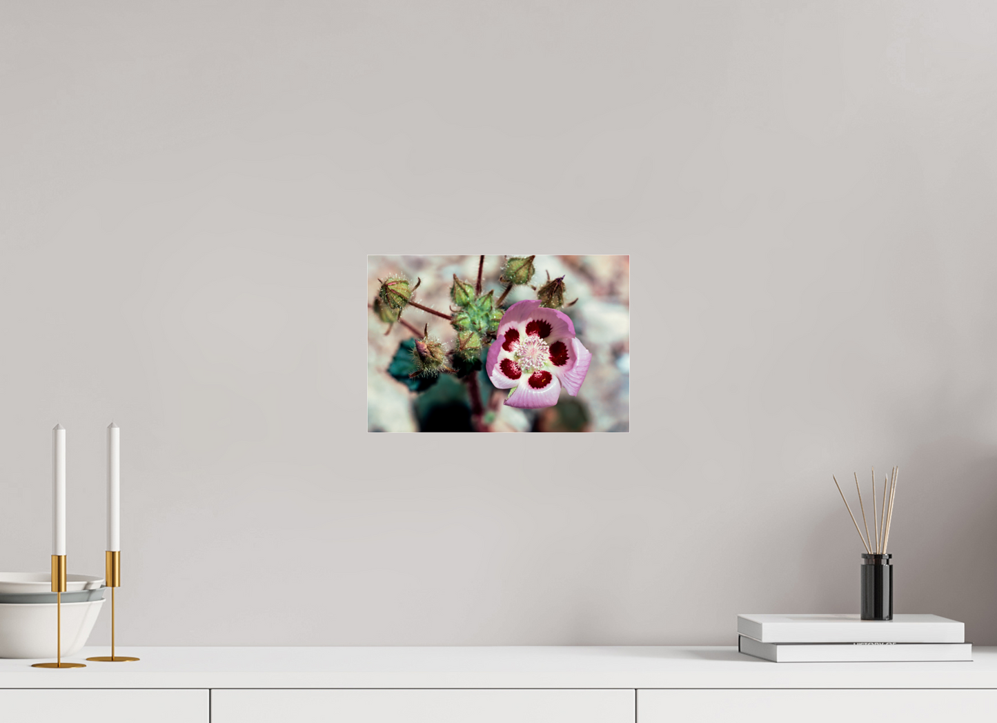 Desert Blossom (Aline de Nanxe)
